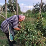 Séjour à la ferme Luna D'agerola *