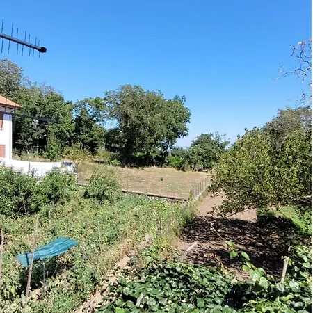 Luna D'agerola Bauernhof Agerola