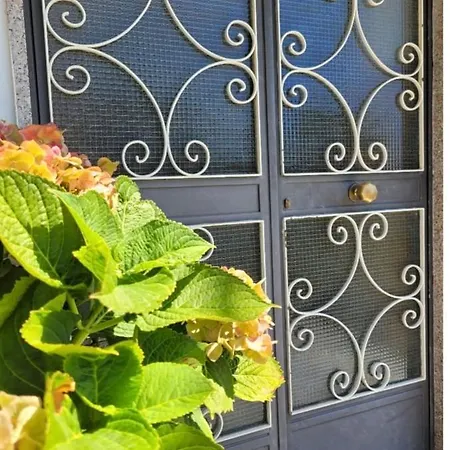 Luna D'agerola *