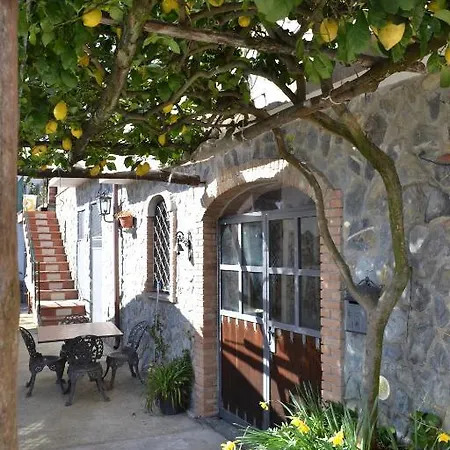 Luna D'agerola ファームステイ *