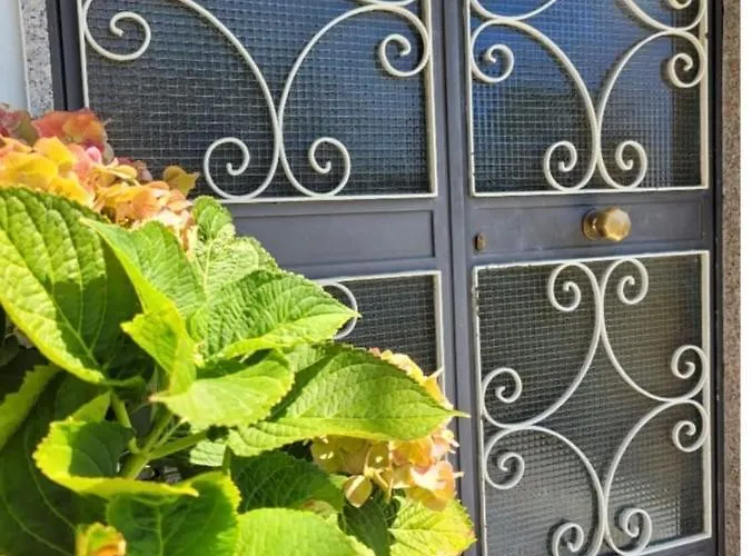 Luna D'agerola *